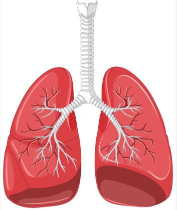 Il versamento pleurico di natura infettiva: novità in tema di aspetti diagnostici e terapeutici