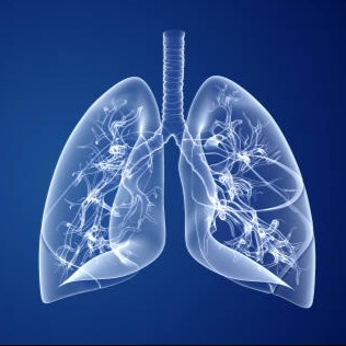 Integrazione Ospedale-Territorio: il ruolo del Medico di medicina generale e dello Specialista nella presa in carico della persona con infezioni respiratorie croniche